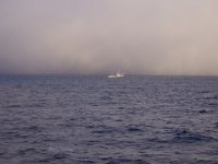 Bilde 019